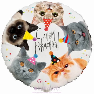 Круг Котики "С Днем Рождения"