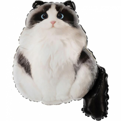 Пушистый котик