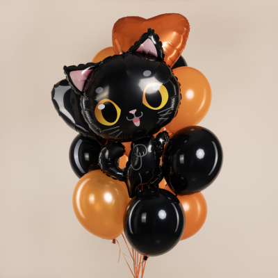 Черный котик