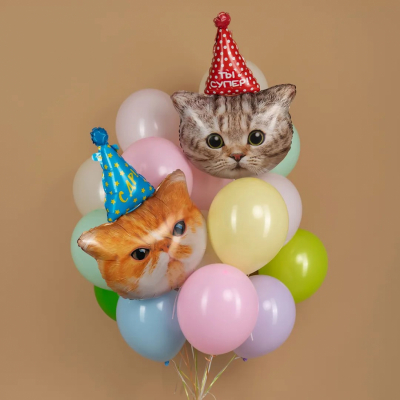 Кот Экзот